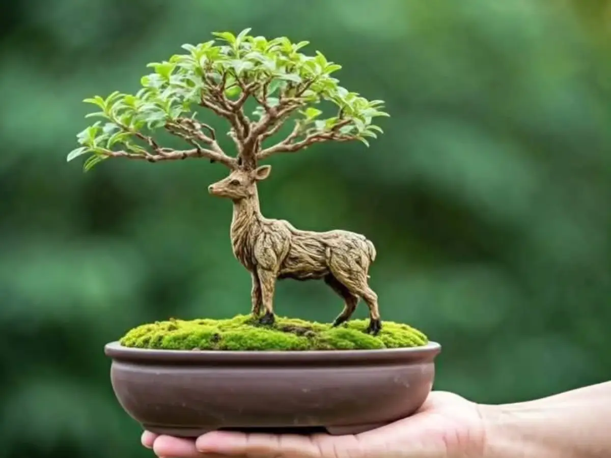 Tanaman bonsai dengan gaya unik dengan batang berbentuk rusa.