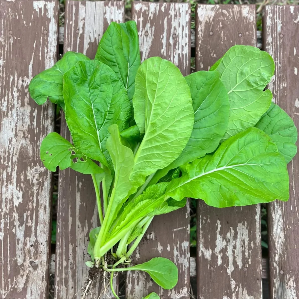Sayuran bayam di atas meja kayu.